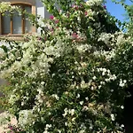 Βίλα Spectacular Views From In Lapta Κερύνεια