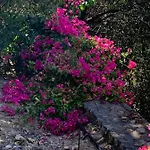 Spectacular Views From In Lapta * Κερύνεια