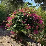 Spectacular Views From In Lapta * Κερύνεια