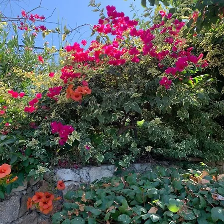 Spectacular Views From In Lapta Kyrenia (Northern Cyprus)