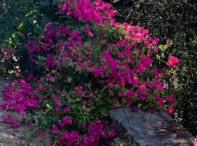 Spectacular Views From In Lapta * 키레니아