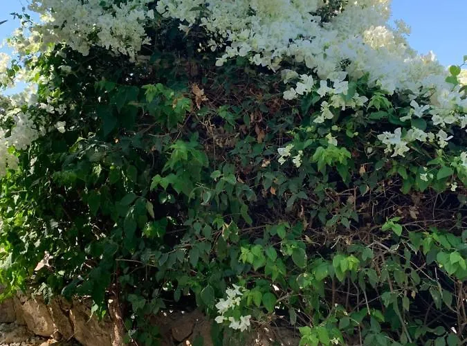 Spectacular Views From In Lapta 빌라