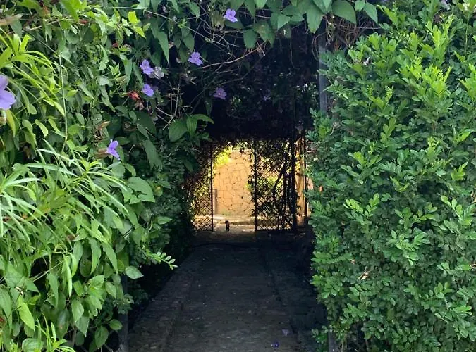 Spectacular Views From In Lapta 빌라 키레니아